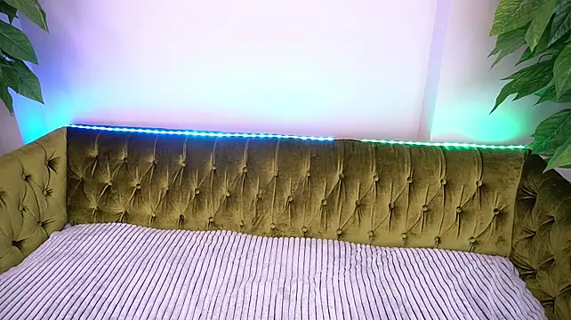 VelvetVoww stripchat live cam model