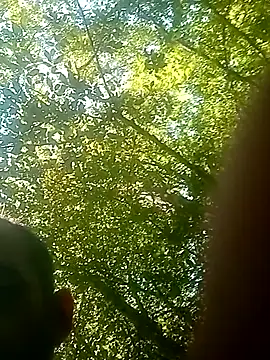 bolulupideci14 stripchat live cam model