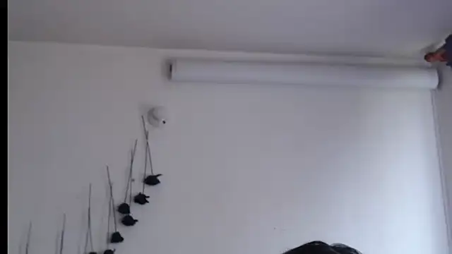 SLOPPYTITSS stripchat live cam model