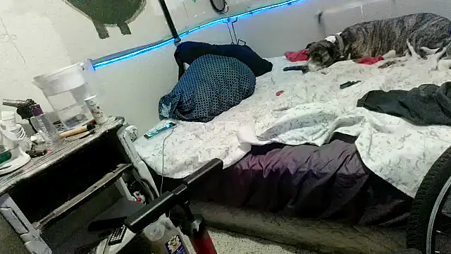 PornStro921 stripchat live cam model