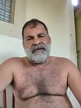Peludo173317 stripchat live cam model