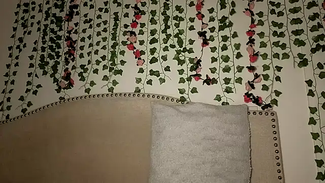 xoxcatt stripchat live cam model