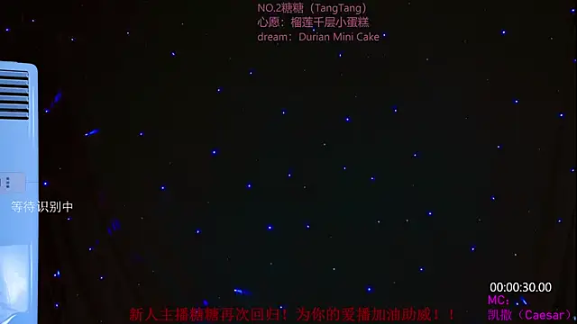CCTW-100 stripchat live cam model