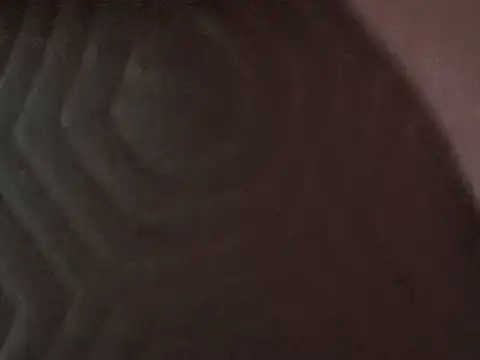 Dubbbetty stripchat live cam model