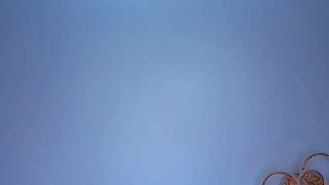 PerryKitty stripchat live cam model