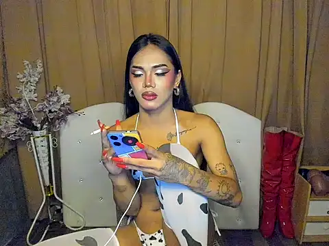 ts_ShaShaGREY18 stripchat live cam model
