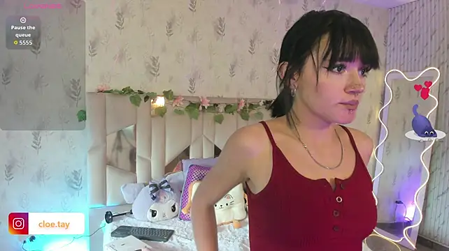 Cloee_tay1 stripchat live cam model