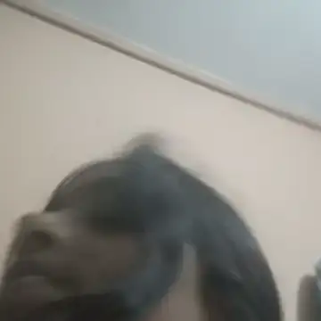 divya_sharma14 stripchat live cam model