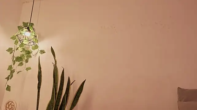 sofiesoft stripchat live cam model