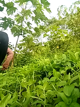 lanngoc2 stripchat live cam model