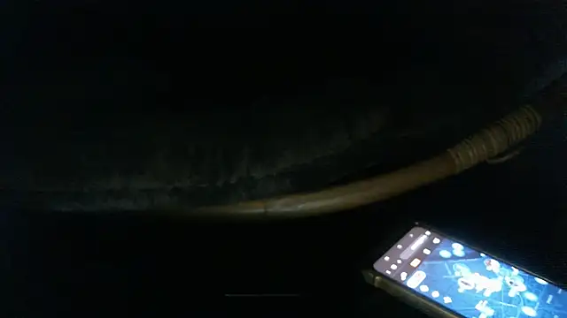 LilDaddyX stripchat live cam model
