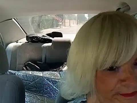 dustbunny64 stripchat live cam model
