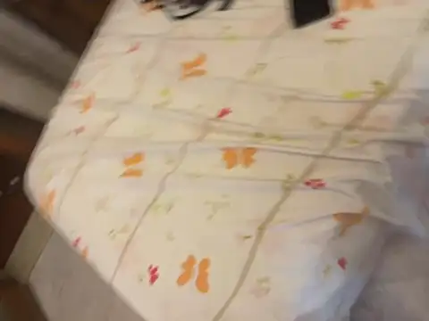 CherryBliss20 stripchat live cam model