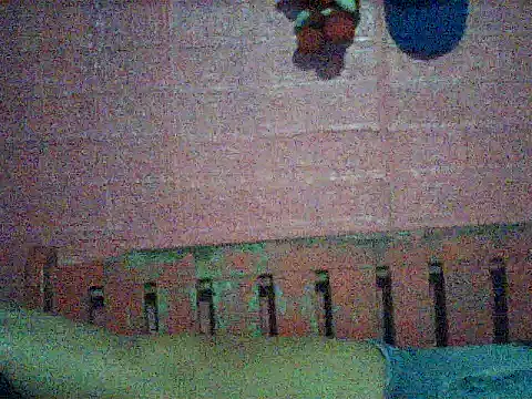 sweet_buncandy stripchat live cam model