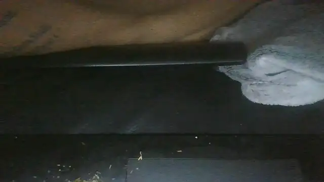Smokeym123 stripchat live cam model