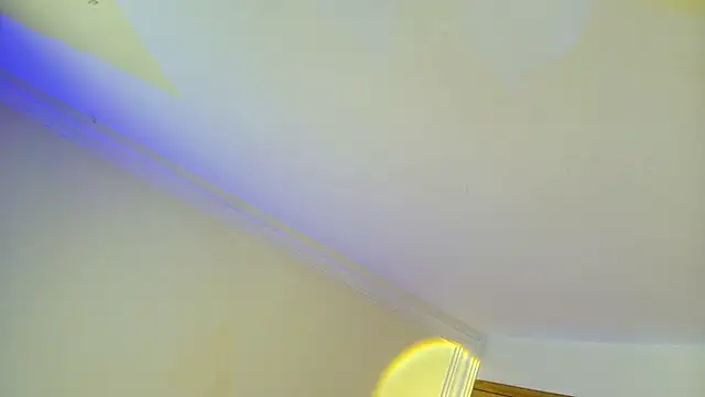 Natalyefoster stripchat live cam model