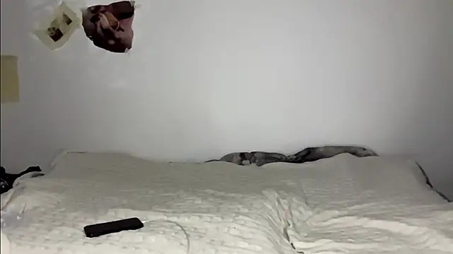 sofiesoft777 stripchat live cam model
