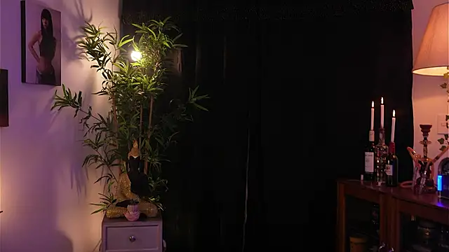 soidai_miiu stripchat live cam model