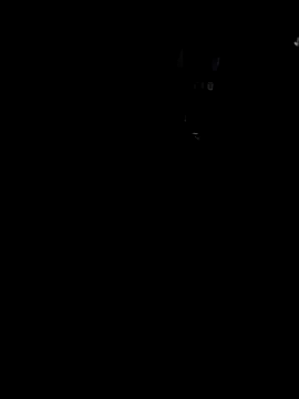 Mohammed875 stripchat live cam model