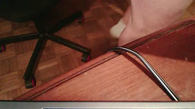 ludowrss stripchat live cam model