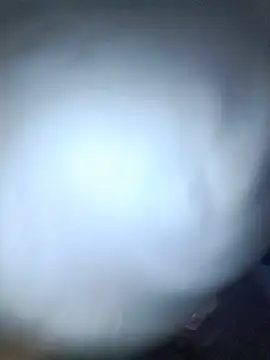 Ruchob stripchat live cam model