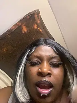 xdusa6 stripchat live cam model