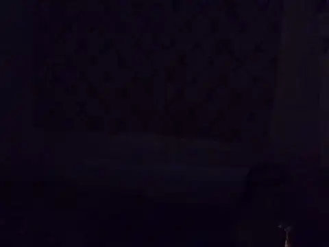 melvinGee stripchat live cam model
