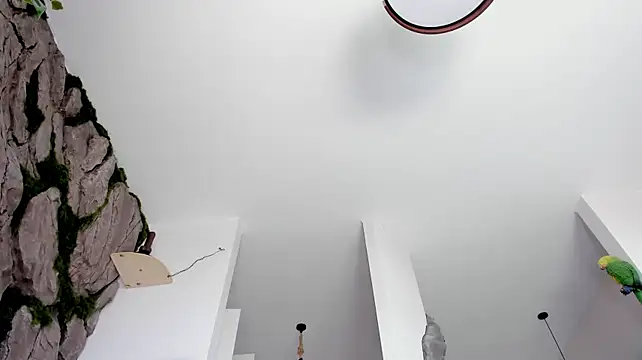 maakimo stripchat live cam model