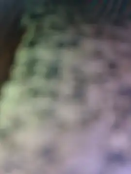 Sexy-Konika stripchat live cam model