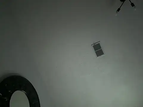 SpannedHazelnut stripchat live cam model