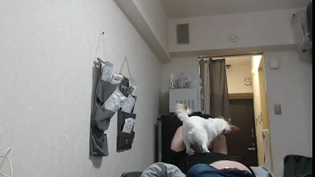 raterate555 stripchat live cam model
