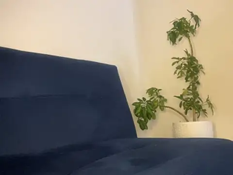 seansanz stripchat live cam model