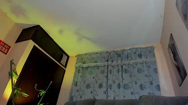 DavidNeill stripchat live cam model