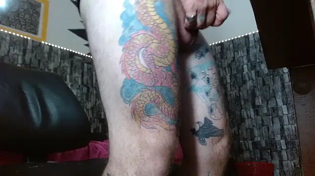 stripnolimits stripchat live cam model