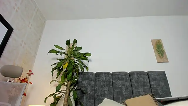noir_prince stripchat live cam model