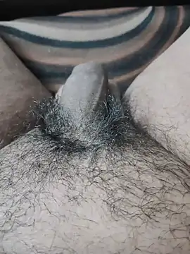 SEXY_LION7 stripchat live cam model