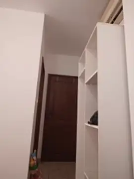 kotkite stripchat live cam model