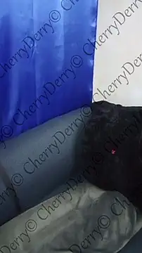 CherryDerry stripchat live cam model