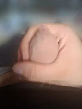 BelgianKing stripchat live cam model