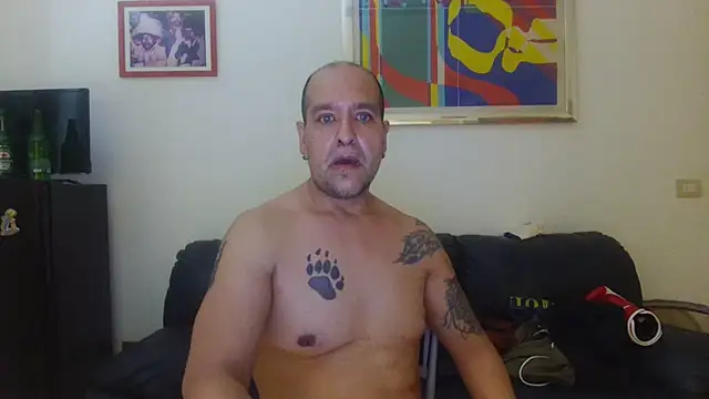 AMIRDIB2025 stripchat live cam model