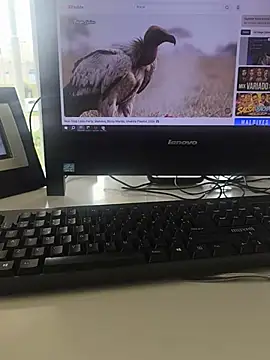 cyclops86 stripchat live cam model
