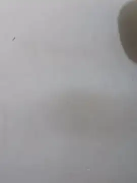 TrufflethaDon stripchat live cam model