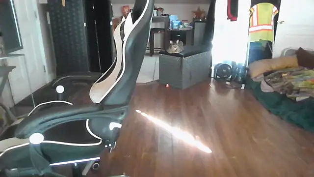 bigshh8 stripchat live cam model