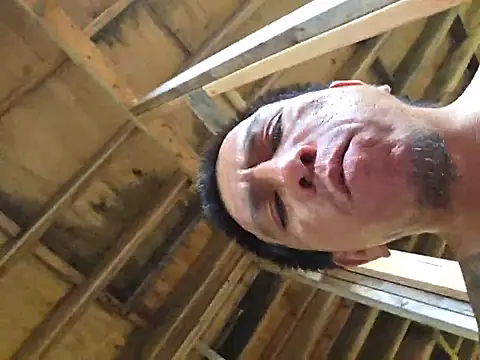 Boogiehtx713 stripchat live cam model
