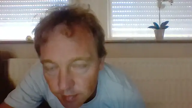 bertolini stripchat live cam model