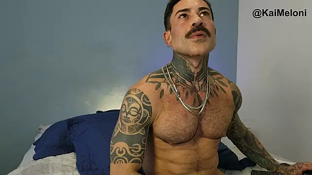kaimeloni stripchat live cam model
