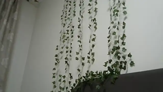 LilitTXX stripchat live cam model