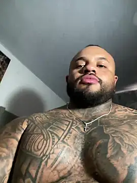 criss_zander292 stripchat live cam model