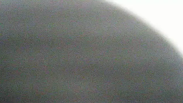 flayeyena stripchat live cam model