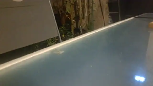 mad2moi stripchat live cam model